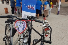 pedalando3